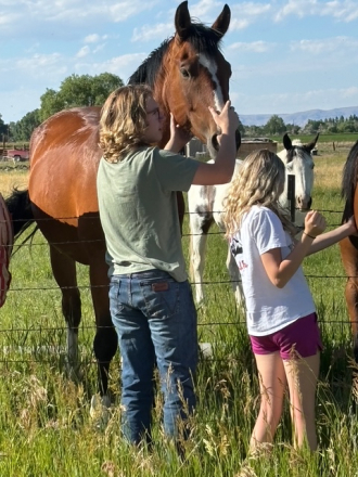 HorseID: 2300923 Ima Summer Storm - PhotoID: 1082597