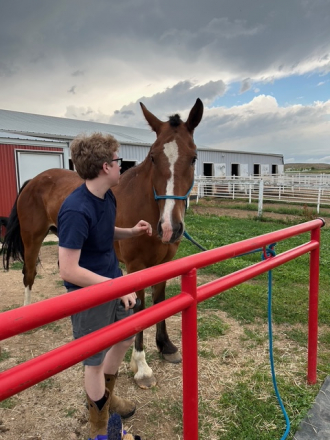 HorseID: 2300923 Ima Summer Storm - PhotoID: 1082598