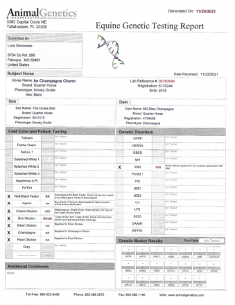 HorseID: 2301093 IM CHAMPAGNE CHARM - PhotoID: 1082823