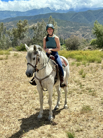 HorseID: 2301326 Sabre - PhotoID: 1087019