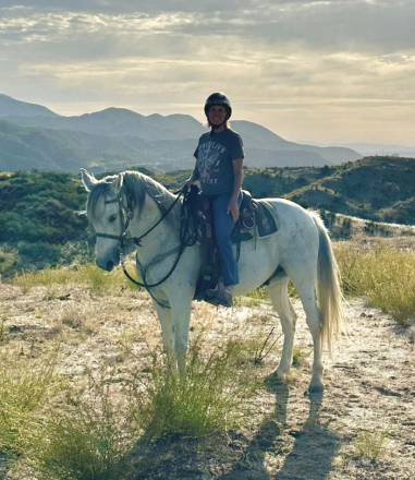 HorseID: 2301326 Sabre - PhotoID: 1087020