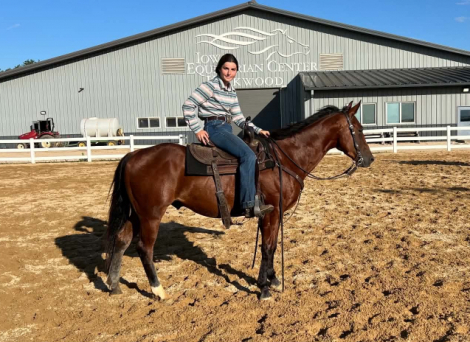 HorseID: 2301731 BROWNIE - PhotoID: 1099077