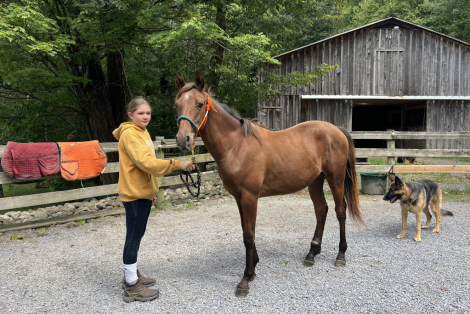 HorseID: 2301804 Still Water Eclipse - PhotoID: 1083782
