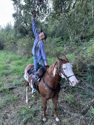 HorseID: 2302366 Rosa - PhotoID: 1086842