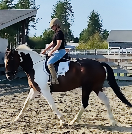 HorseID: 2302484 Temperance Reign - PhotoID: 1085821