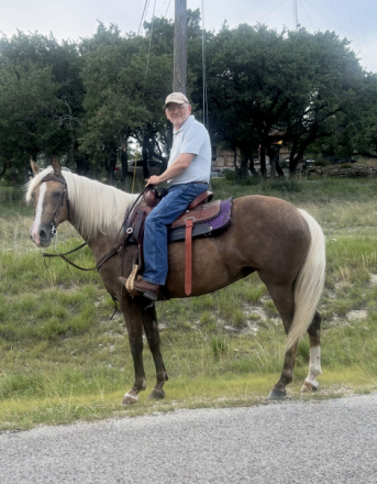 HorseID: 2302540 High Society Lady SDG - PhotoID: 1087572