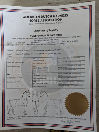 HorseID: 2302644 Honey Brook Prince - PhotoID: 1087569