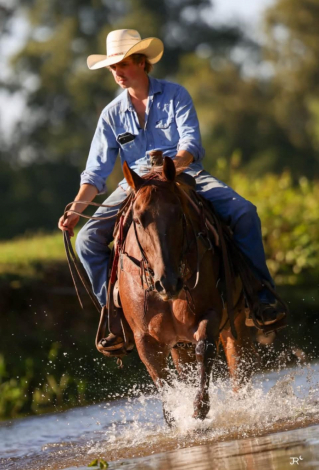 HorseID: 2302691 SCR PEPTOES CITYKID - PhotoID: 1098369