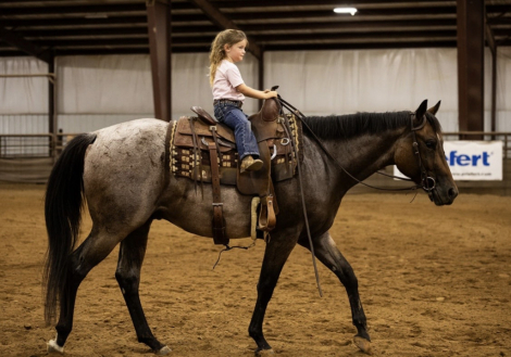 HorseID: 2302710 LOPIN A GOODRIDE - PhotoID: 1098290