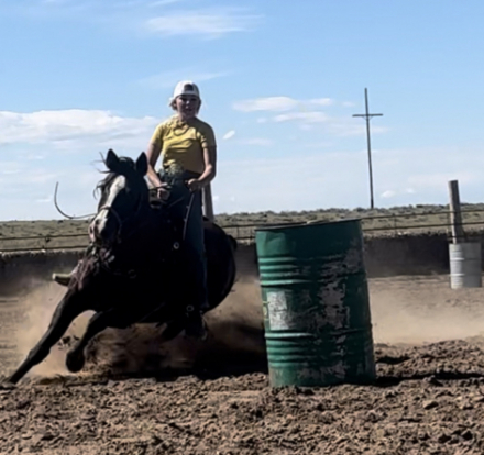 HorseID: 2302804 Kajun - PhotoID: 1085159