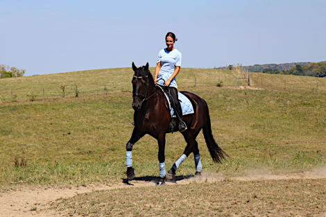 HorseID: 2302809 J K Nickey - PhotoID: 1087608