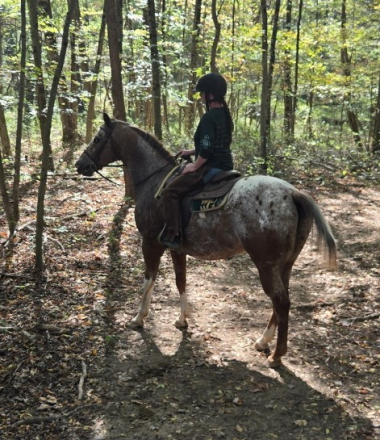 HorseID: 2302874 Cooper - PhotoID: 1085286