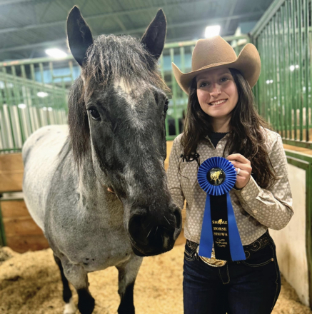 HorseID: 2302875 Metallic Blue Venom - PhotoID: 1087861