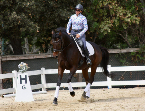 HorseID: 2303101 Wild Bean - PhotoID: 1086994