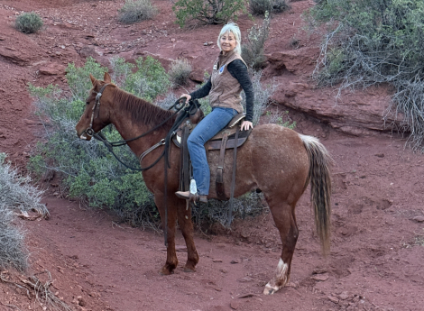 HorseID: 2303208 Sharp Dressed Man - PhotoID: 1085828