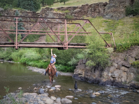HorseID: 2303208 Sharp Dressed Man - PhotoID: 1085830