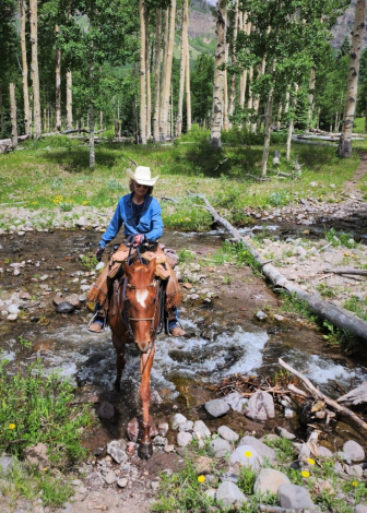 HorseID: 2303208 Sharp Dressed Man - PhotoID: 1085831