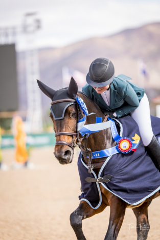 HorseID: 2303261 Casa de Prestige - PhotoID: 1085855