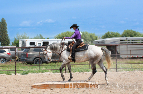 HorseID: 2303264 ELS Lace and Roses - PhotoID: 1085858