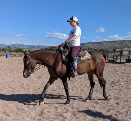 HorseID: 2303271 Yahzarah - PhotoID: 1085862