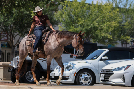 HorseID: 2303282 MR GOODBARS TALKIN - PhotoID: 1085874