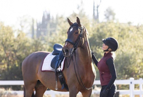 HorseID: 2303294 Avalancha - PhotoID: 1085877