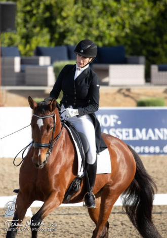 HorseID: 2303294 Avalancha - PhotoID: 1085878