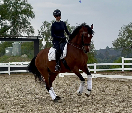 HorseID: 2303294 Avalancha - PhotoID: 1085880