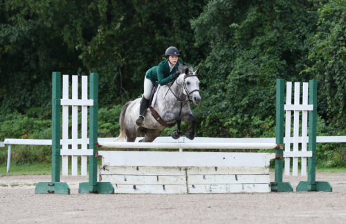 HorseID: 2303300 Forget Me Not - PhotoID: 1085896