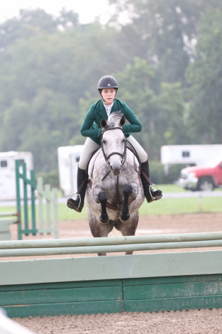 HorseID: 2303300 Forget Me Not - PhotoID: 1085898