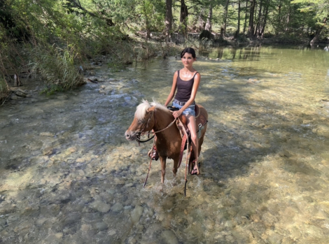 HorseID: 2303352 Barbie - PhotoID: 1085953