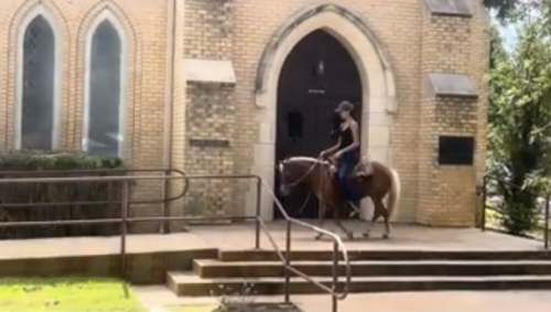 HorseID: 2303352 Barbie - PhotoID: 1085956