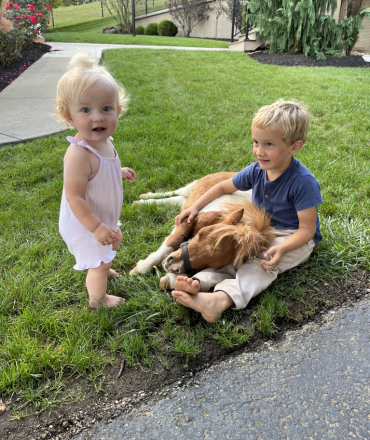 HorseID: 2303371 Poppy - PhotoID: 1085987