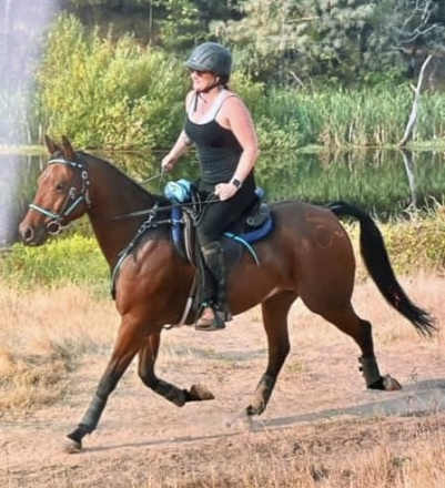 HorseID: 2303381 Smooth Soula - PhotoID: 1086192