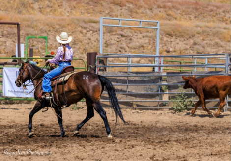 HorseID: 2303382 SC Junipers Frost - PhotoID: 1085998