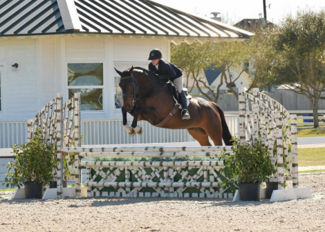 HorseID: 2303387 Diamanti - PhotoID: 1086813