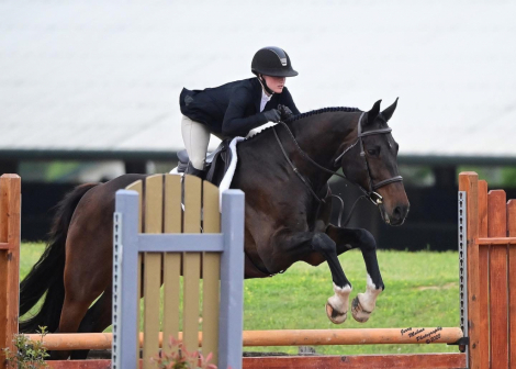 HorseID: 2303387 Diamanti - PhotoID: 1086815