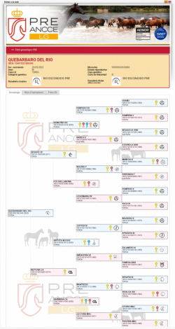 HorseID: 2303388 Quebarbaro del rio - PhotoID: 1086011