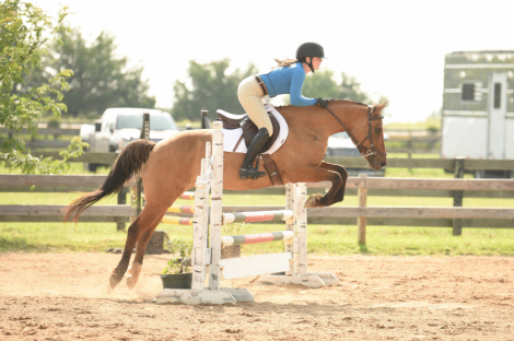 HorseID: 2303392 Phelea (Fa-Lee-a) - PhotoID: 1086763