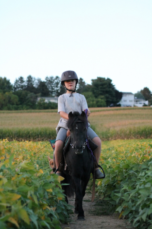 HorseID: 2303418 Little Miss Ruby - PhotoID: 1086266