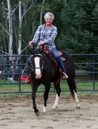 HorseID: 2303427 SHINING C BBR DELI - PhotoID: 1086061