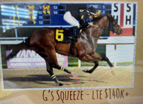 HorseID: 2303428 G's Squeeze - PhotoID: 1086064