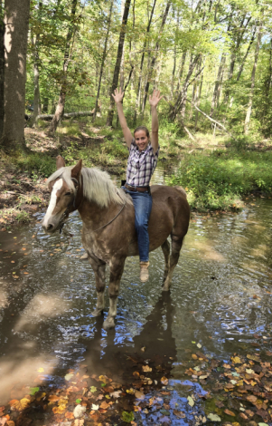 HorseID: 2303457 Pork Chop - PhotoID: 1086396