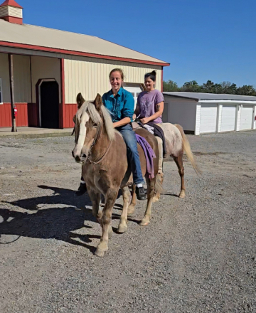 HorseID: 2303457 Pork Chop - PhotoID: 1086398