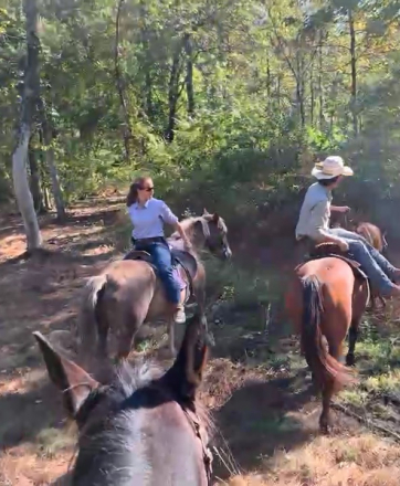 HorseID: 2303457 Pork Chop - PhotoID: 1086399