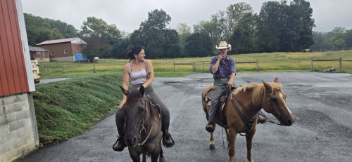 HorseID: 2303465 Nip - PhotoID: 1086394