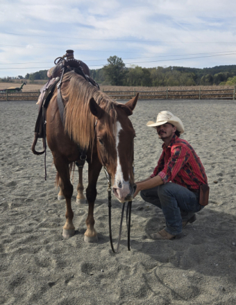 HorseID: 2303468 Magic - PhotoID: 1087582