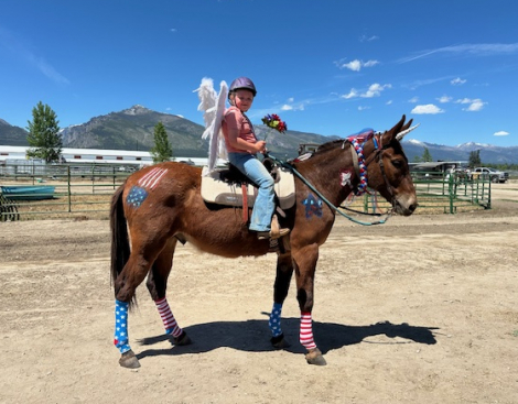 HorseID: 2303484 Otter Pops Man - PhotoID: 1086113