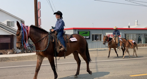 HorseID: 2303484 Otter Pops Man - PhotoID: 1086117