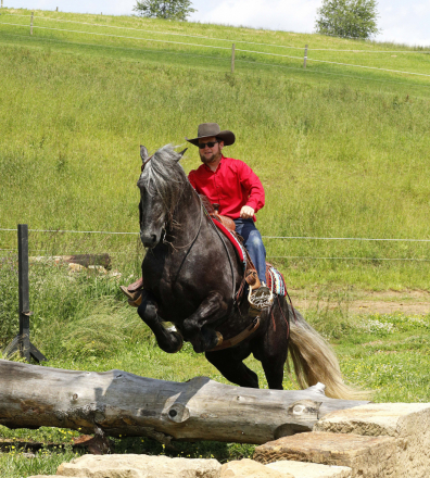 HorseID: 2303486 Buckeyes Monroe - PhotoID: 1086111